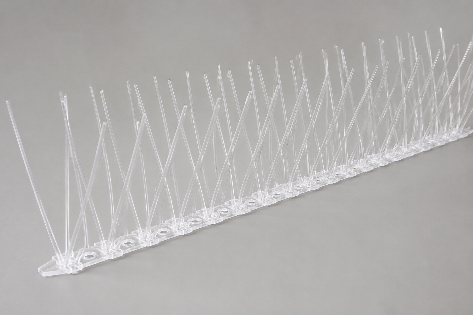 Bird Spikes